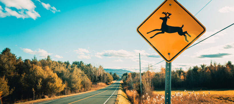 Deer Crossing Sign